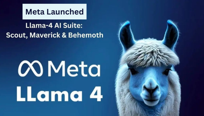 Meta Llama 2025
