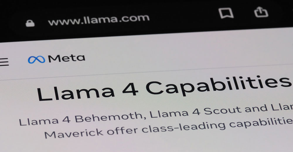 Meta Llama 2025